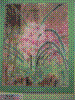 flower show2004 127.jpg